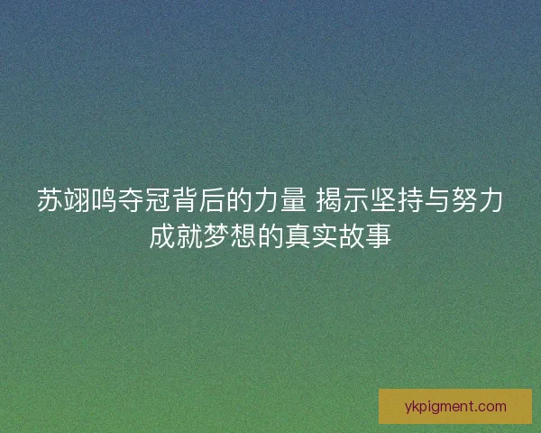 苏翊鸣夺冠背后的力量 揭示坚持与努力成就梦想的真实故事