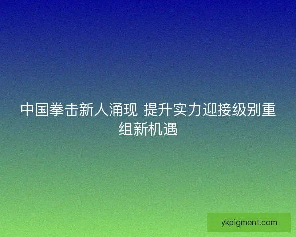 中国拳击新人涌现 提升实力迎接级别重组新机遇 中国拳击新人涌现 提升实力迎接级别重组新机遇