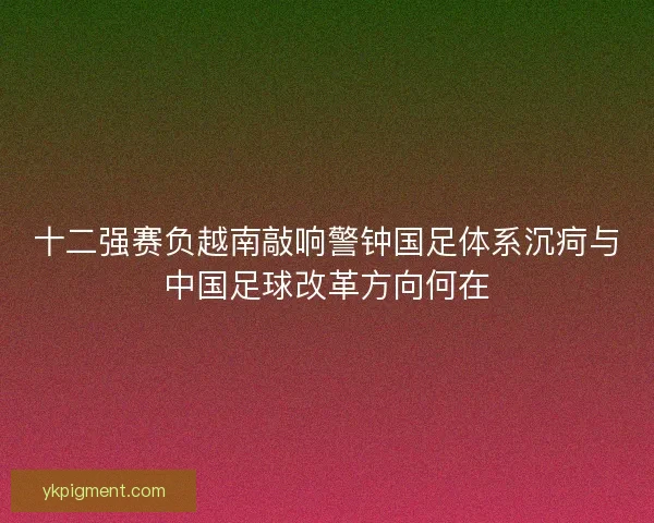十二强赛负越南敲响警钟国足体系沉疴与中国足球改革方向何在