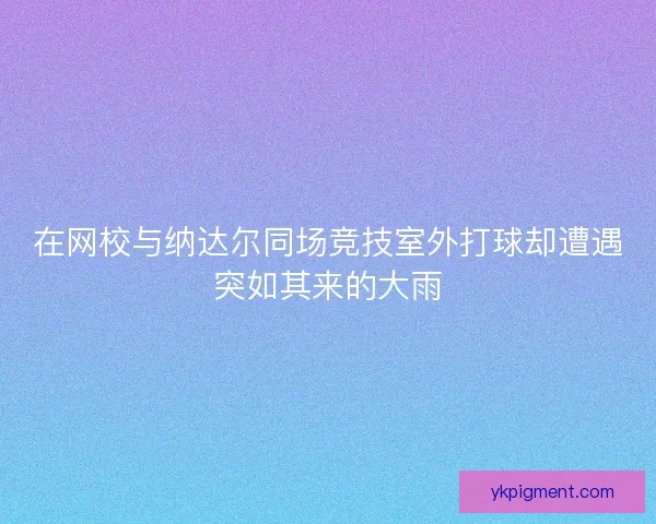 在网校与纳达尔同场竞技室外打球却遭遇突如其来的大雨 在网校与纳达尔同场竞技室外打球却遭遇突如其来的大雨