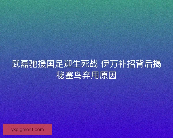 武磊驰援国足迎生死战 伊万补招背后揭秘塞鸟弃用原因