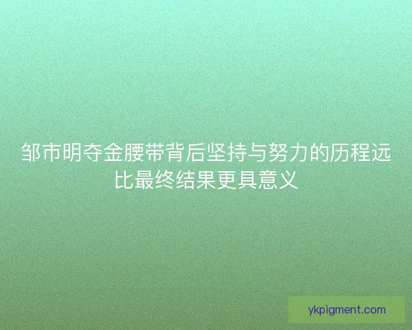 邹市明夺金腰带背后坚持与努力的历程远比最终结果更具意义 邹市明夺金腰带背后坚持与努力的历程远比最终结果更具意义