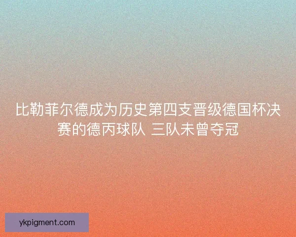 比勒菲尔德成为历史第四支晋级德国杯决赛的德丙球队 三队未曾夺冠 比勒菲尔德成为历史第四支晋级德国杯决赛的德丙球队 三队未曾夺冠