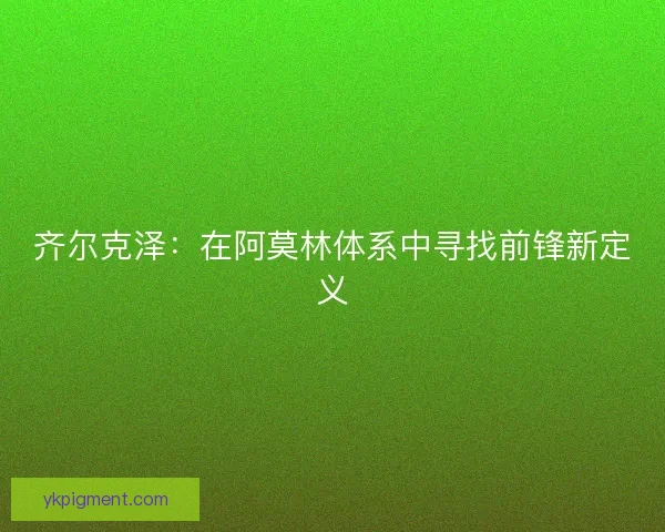 齐尔克泽：在阿莫林体系中寻找前锋新定义