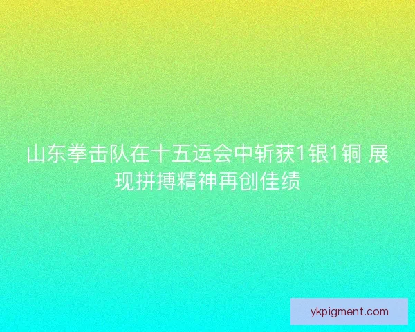 山东拳击队在十五运会中斩获1银1铜 展现拼搏精神再创佳绩