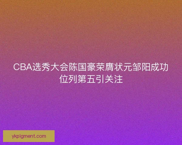 CBA选秀大会陈国豪荣膺状元邹阳成功位列第五引关注 CBA选秀大会陈国豪荣膺状元邹阳成功位列第五引关注